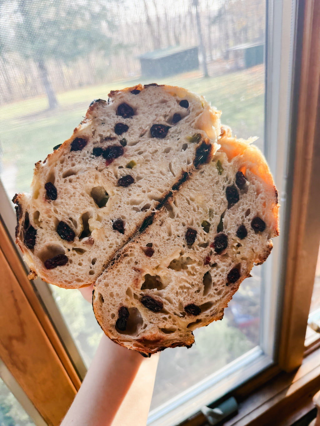 Sourdough Artisan Loaf - Jalapeño Cranberry Cheddar